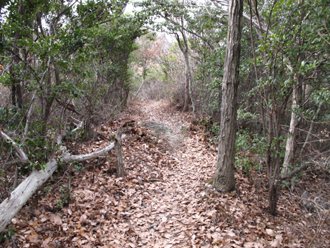 20140125hike (257)